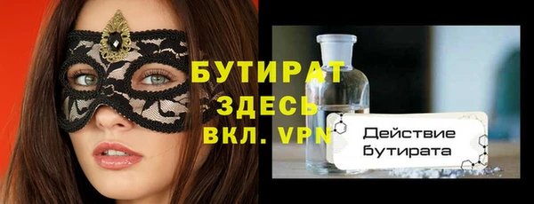 шишки Аркадак