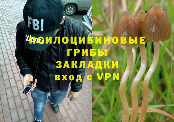 мдпв Армянск