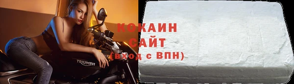 шишки Аркадак