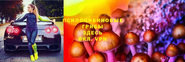 мдпв Армянск