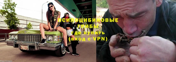 шишки Аркадак